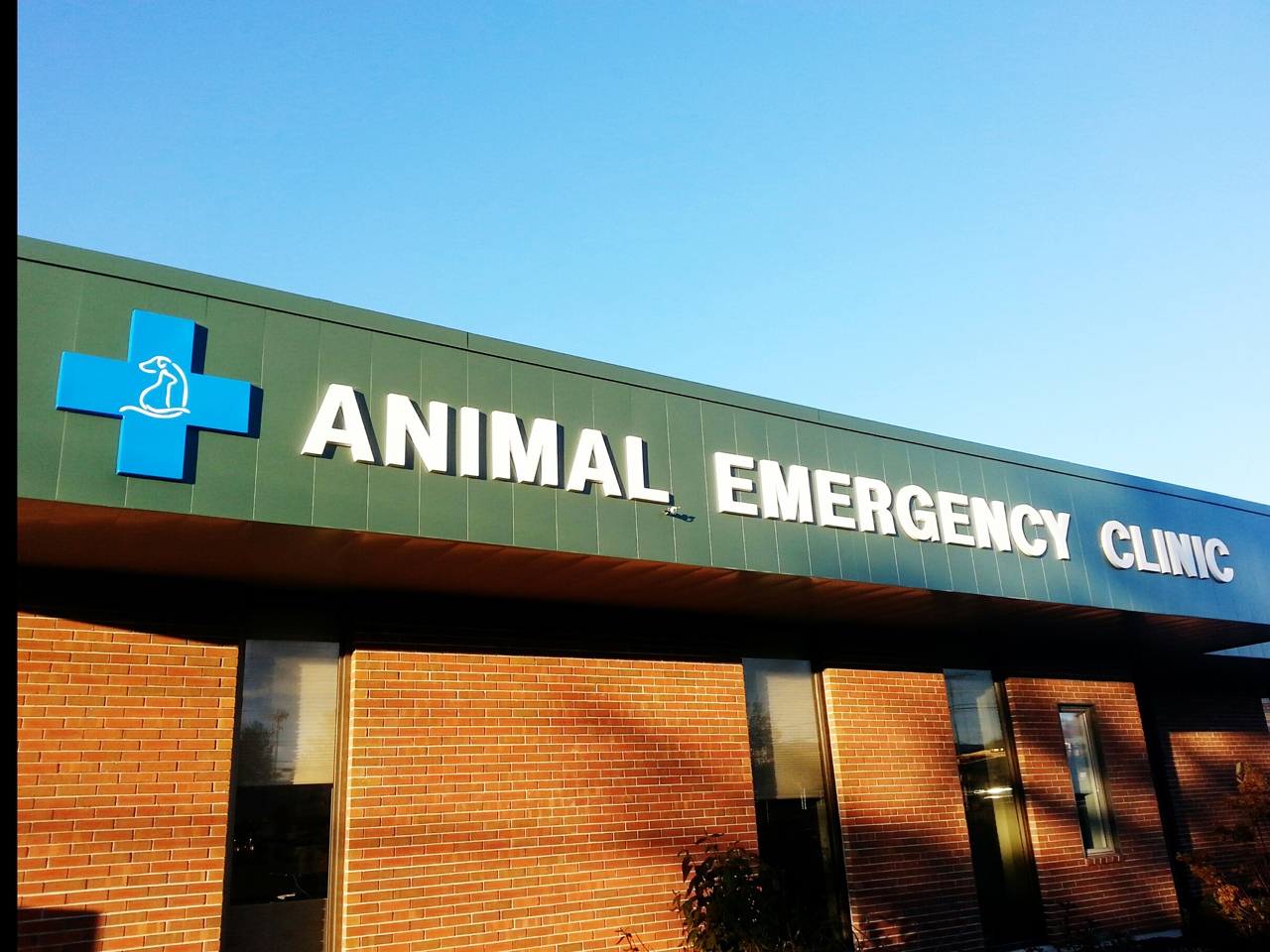 Animal Emergency lettering