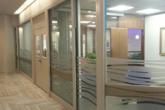 Office window design